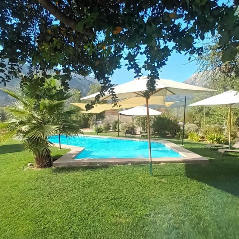 Espacio Arenales - Family Room with Garden View - 4