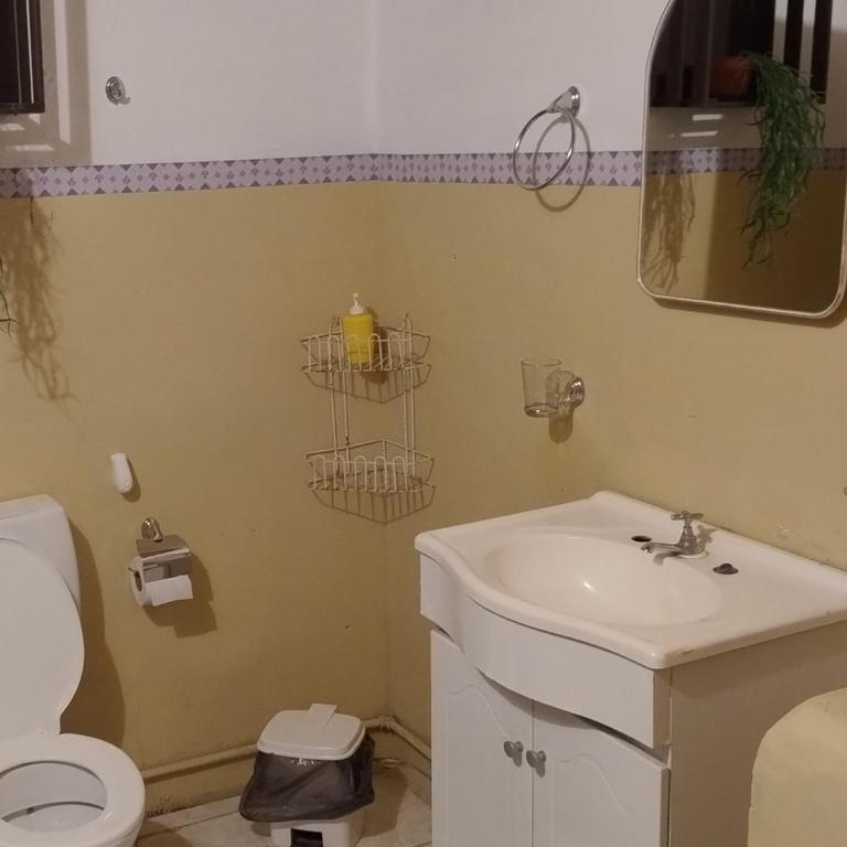 La casona Segunda Usina - Casa - 10