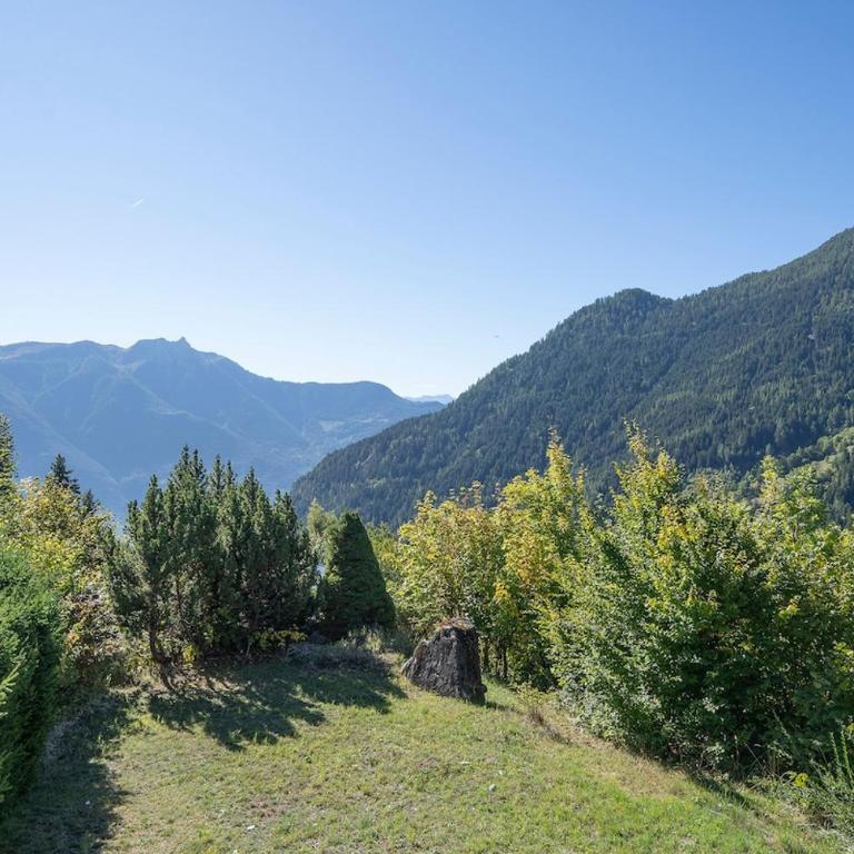 Chalet Panorama Ovronnaz 180 View 2BA 10 pax - Chalet - 5