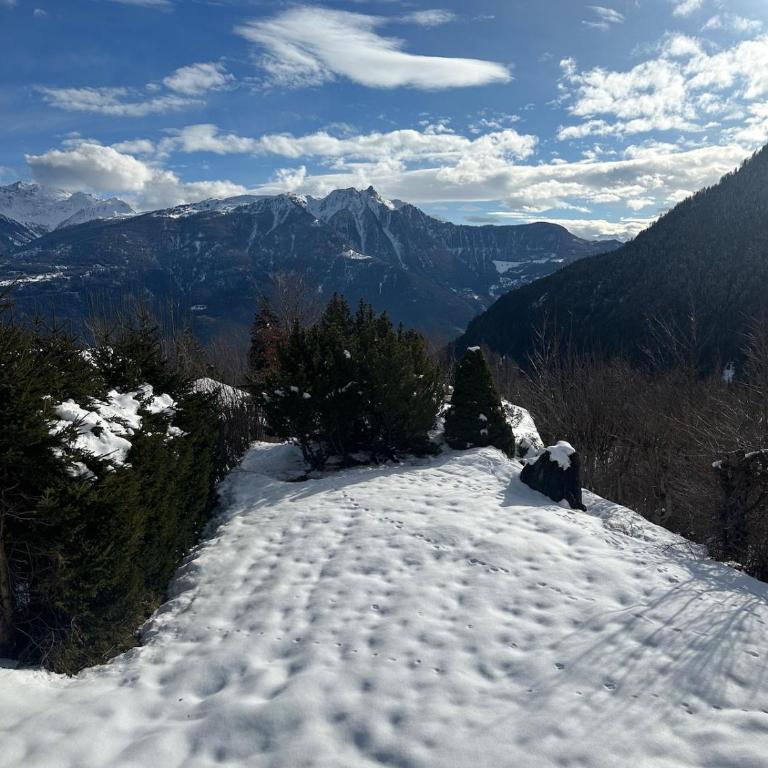 Chalet Panorama Ovronnaz 180 View 2BA 10 pax - Chalet - 7