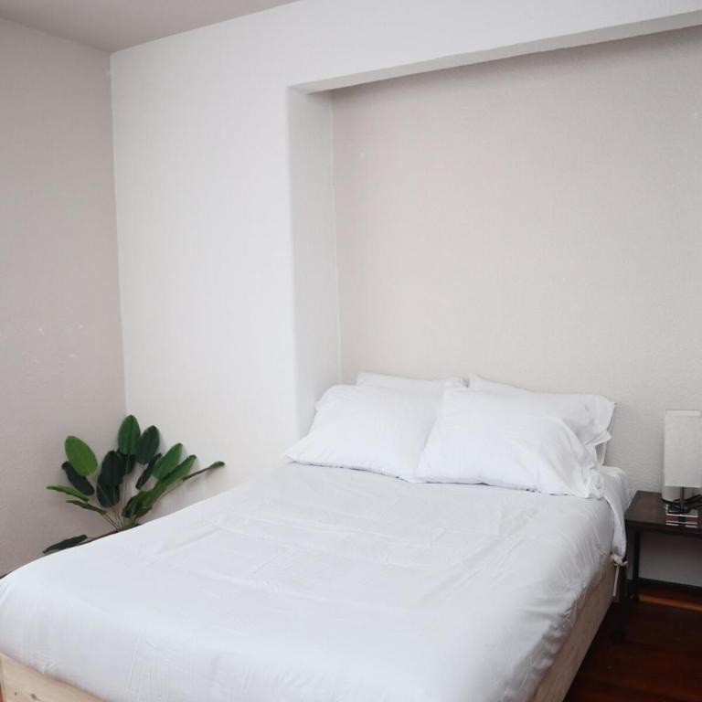 Spacious apartment in Anzures - Apartamento de 2 dormitorios - 13
