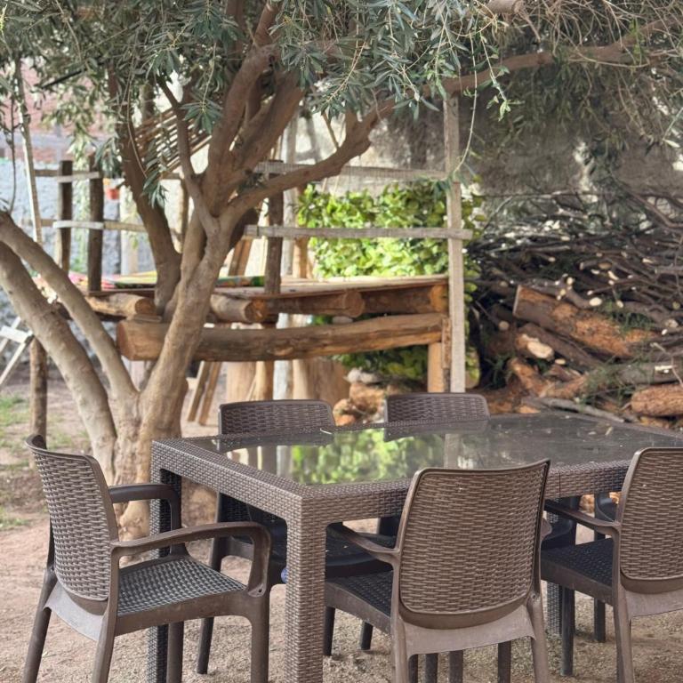 La casita del Olivo - Apartamento de 1 dormitorio - 2