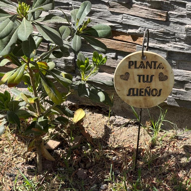 La casita del Olivo - Apartamento de 1 dormitorio - 4