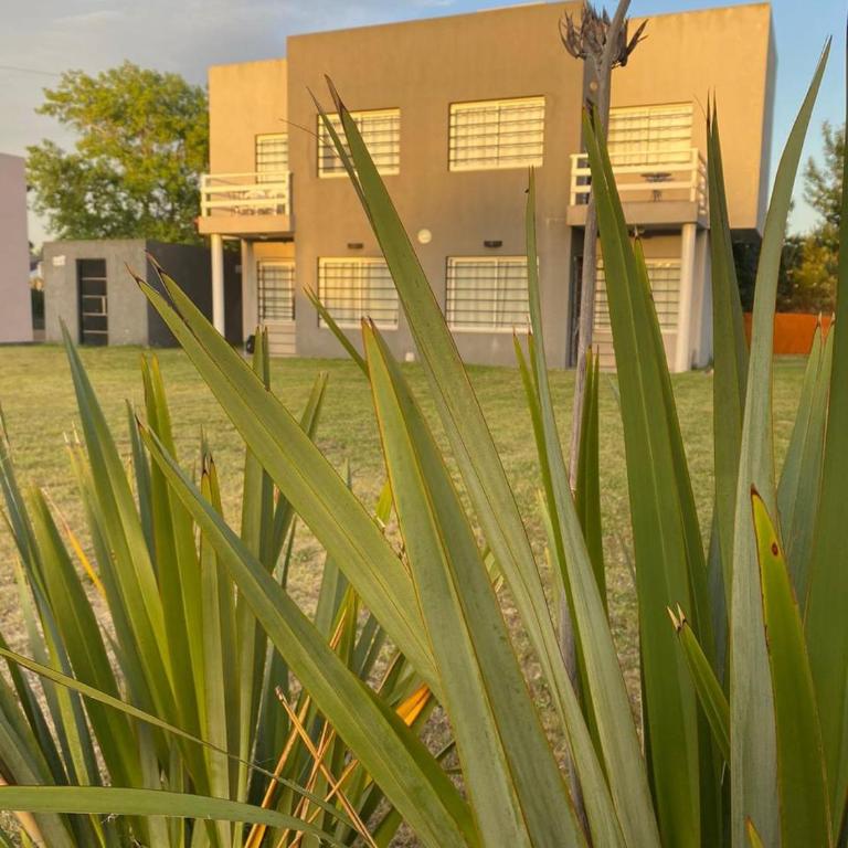 Altos del sur - Casa de 2 dormitorios - 1