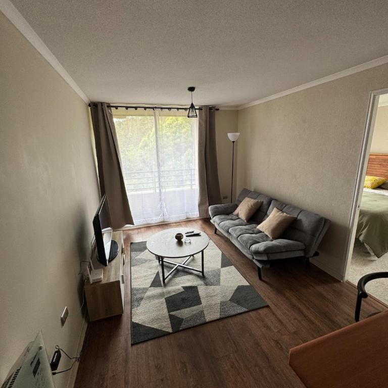 Cómodo y tranquilo departamento cercano a Concepción - Apartamento de 1 dormitorio - 9