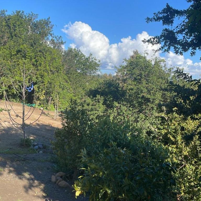 El Convento-Las Salinas, espaciosa y cómoda cabaña - Chalet - 56