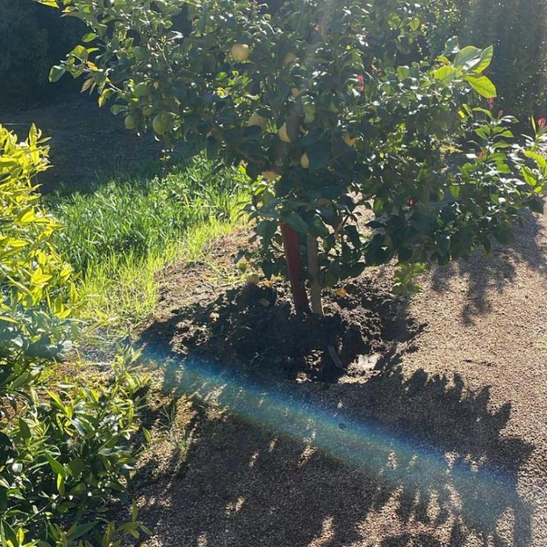 El Convento-Las Salinas, espaciosa y cómoda cabaña - Chalet - 59