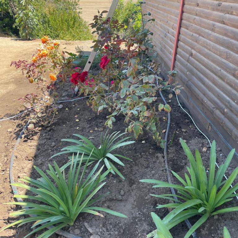 El Convento-Las Salinas, espaciosa y cómoda cabaña - Chalet - 55