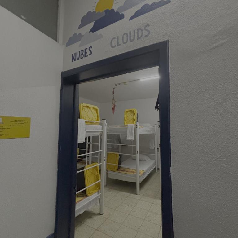 Vive Alegria Hostel - Bunk Bed in Male Dormitory Room - 1
