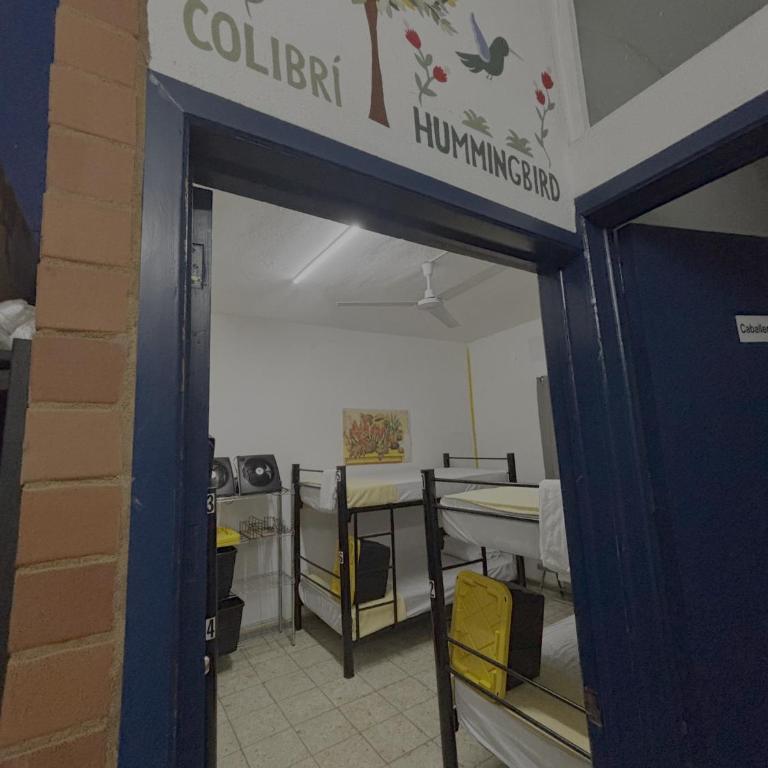 Vive Alegria Hostel - Single Bed in Mixed Dormitory Room - 13