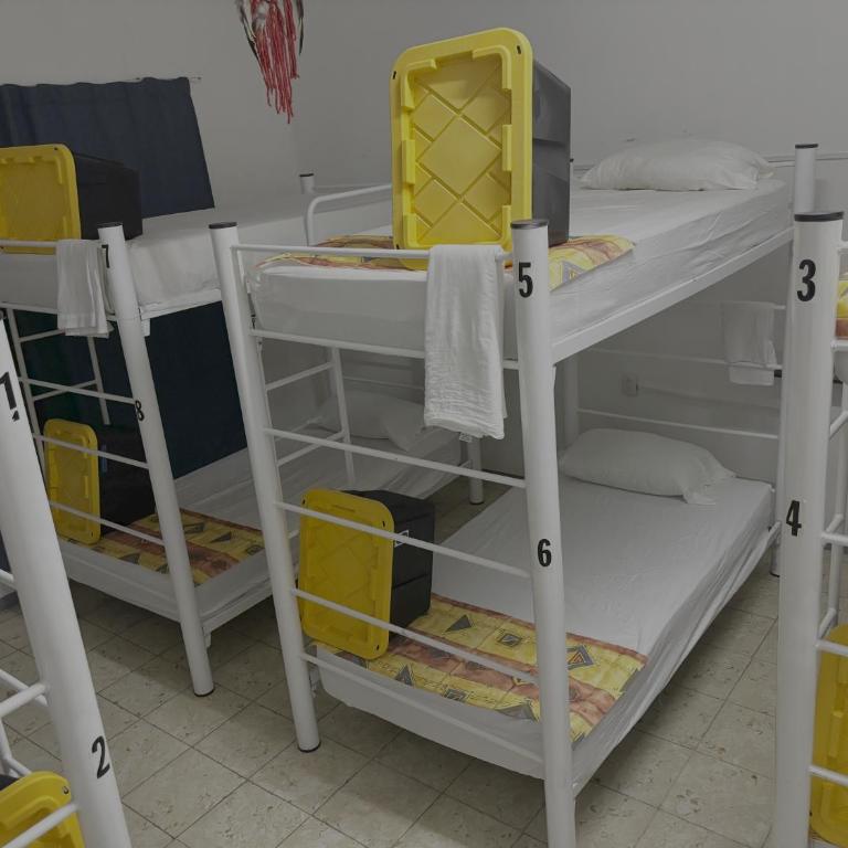 Vive Alegria Hostel - Bunk Bed in Male Dormitory Room - 15
