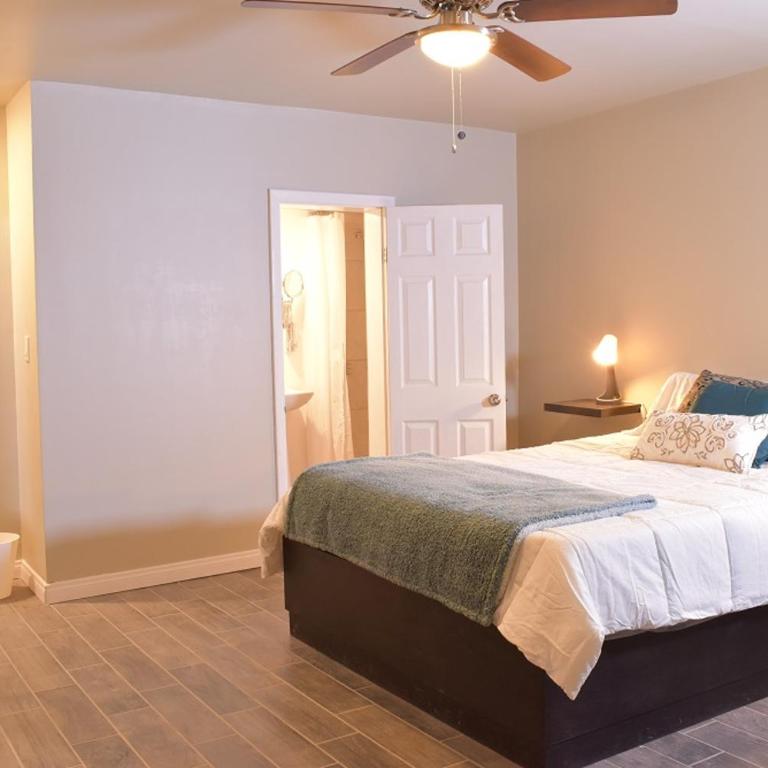 Chayo's Departamentos - Apartment - Ground Floor - 4