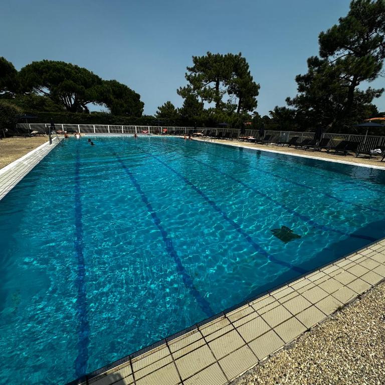 Ocean et Golf - Apartment mit 1 Schlafzimmer - 32