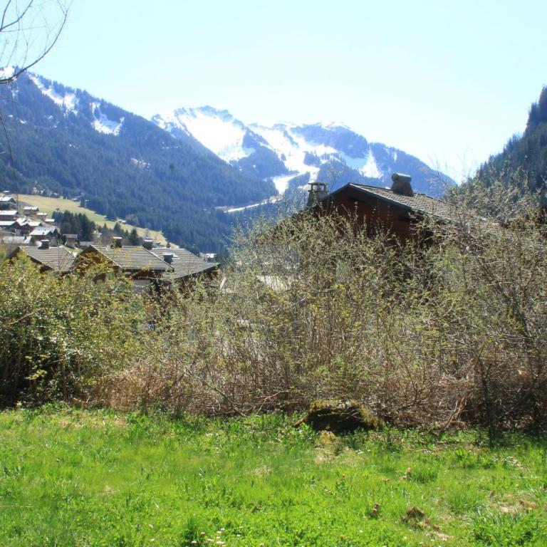 Toison Blanche TBC45 COSY & Mountain 4 Pers - Studio - 12