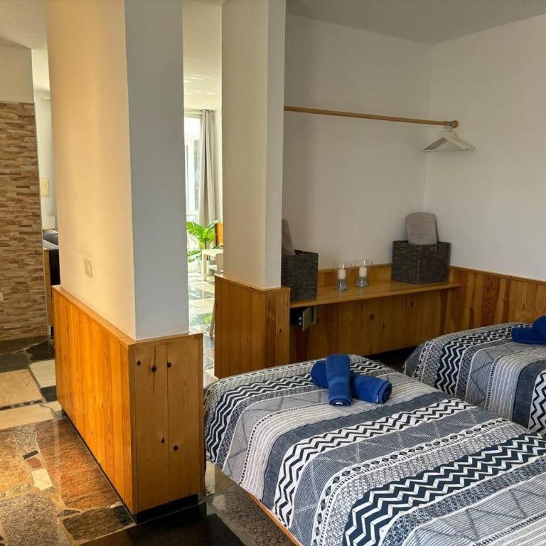 Casa Noelani - centrico y cerca de la playa - Studio with Garden View - 8