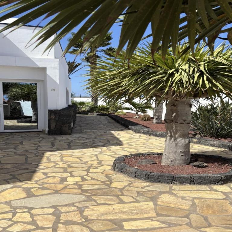 Casa Noelani - centrico y cerca de la playa - Apartment - Split Level - 29