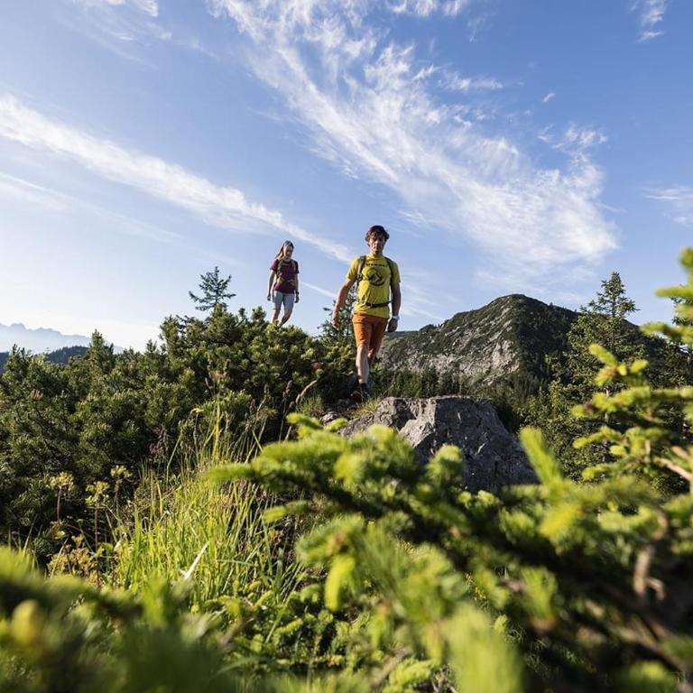 ALPENLOFT vom Berg zum See inklusive gratis KärntenCard - Apartment mit 2 Schlafzimmern - 43