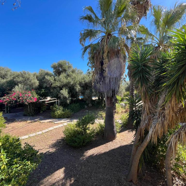 Villa del Commendatore Sirugo - Casa con 1 Camera da Letto - 35