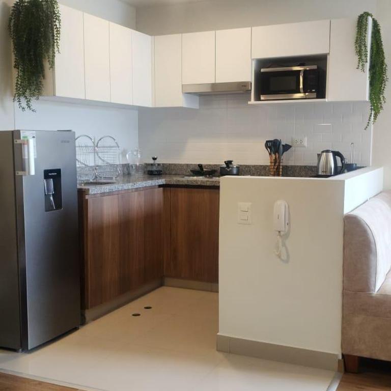 Depa UMBRA, one block from Rebagliati Hospital - One-Bedroom Apartment - 2
