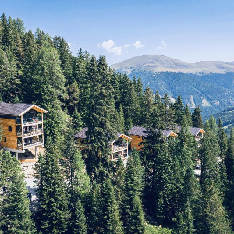 Naturchalets Turracher Höhe by ALPS RESORTS - Deluxe Chalet mit Sauna & Whirlpool - 16