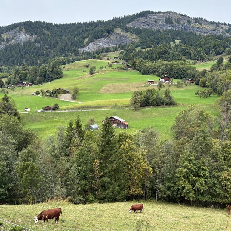 Appt 4 pers, pied des pistes - Appartamento con 1 Camera da Letto - 12