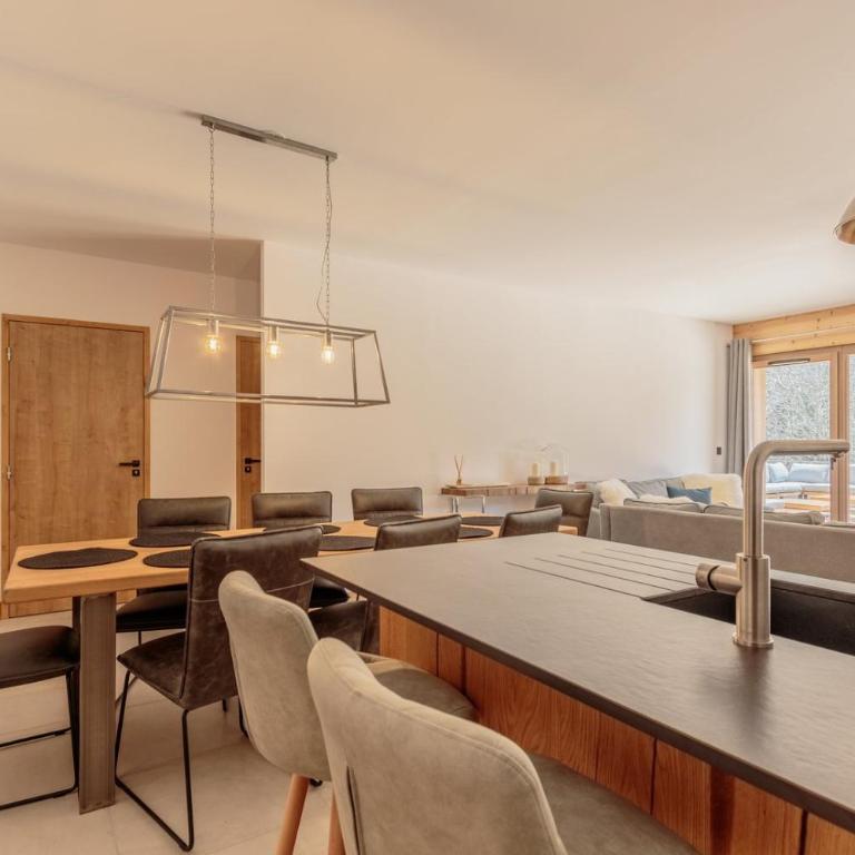 Hara-Kiri, superbe appartement avec terrasse vue montagne - Appartement avec Terrasse - 19