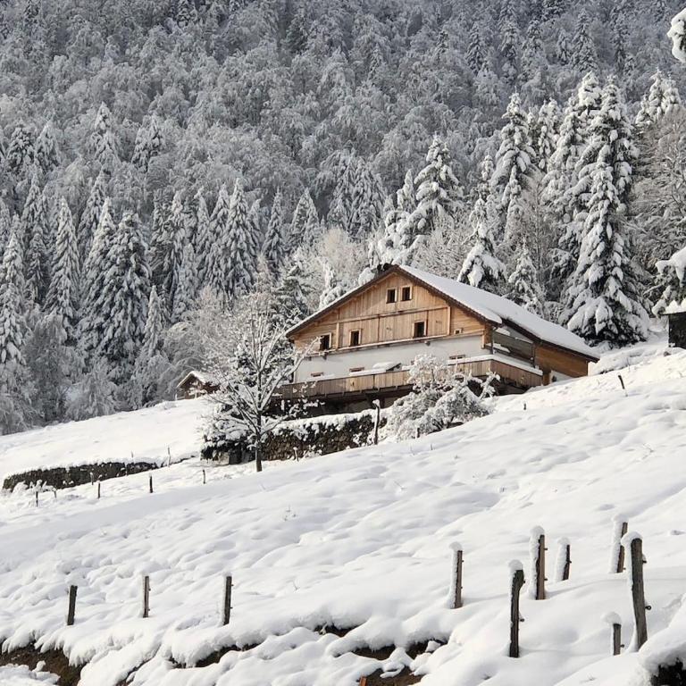 Magnifique gîte 4 étoiles pour 6p avec 3 chambres, accès Jacuzzi - Appartement 3 Chambres avec Vue sur la Montagne - 10