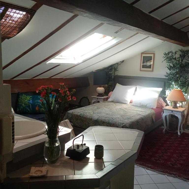 Studio atypique de charme - Apartment mit 1 Schlafzimmer - 12