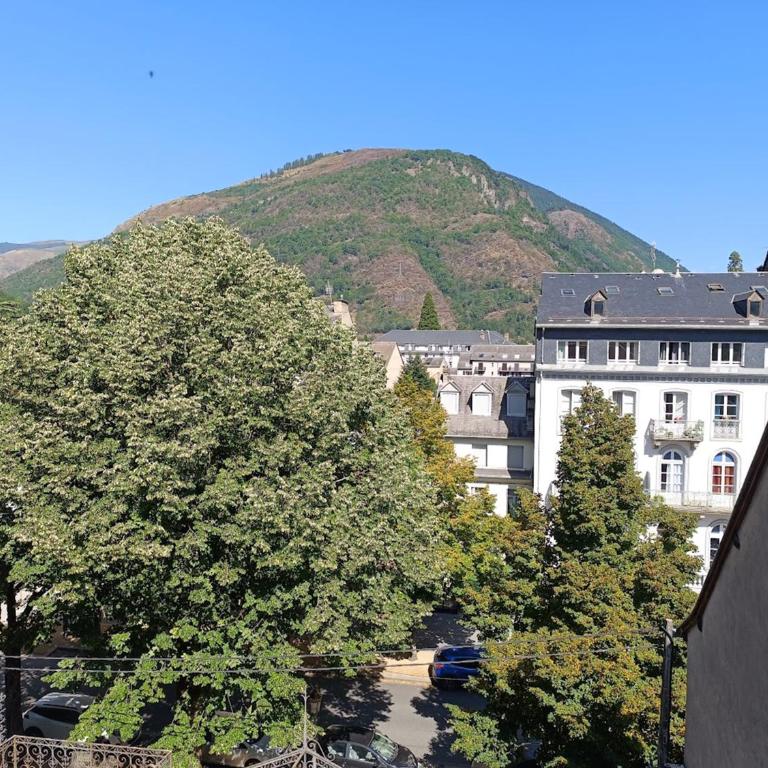 le Pyrénéen, T2, wifi, Luchon centre - Appartement 1 Chambre - 9