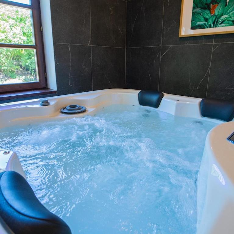 Zen Spa Villa Belgrade - Pool, Hot tub & Sauna - Vila - 50