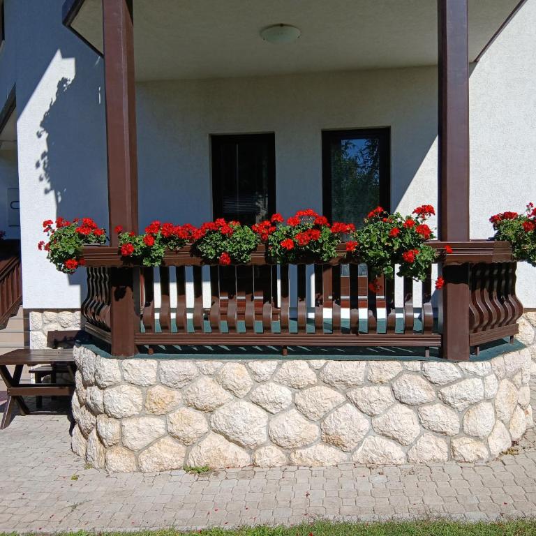 Vila Zlatiborski biser - Two-Bedroom Apartment with Terrace - 9