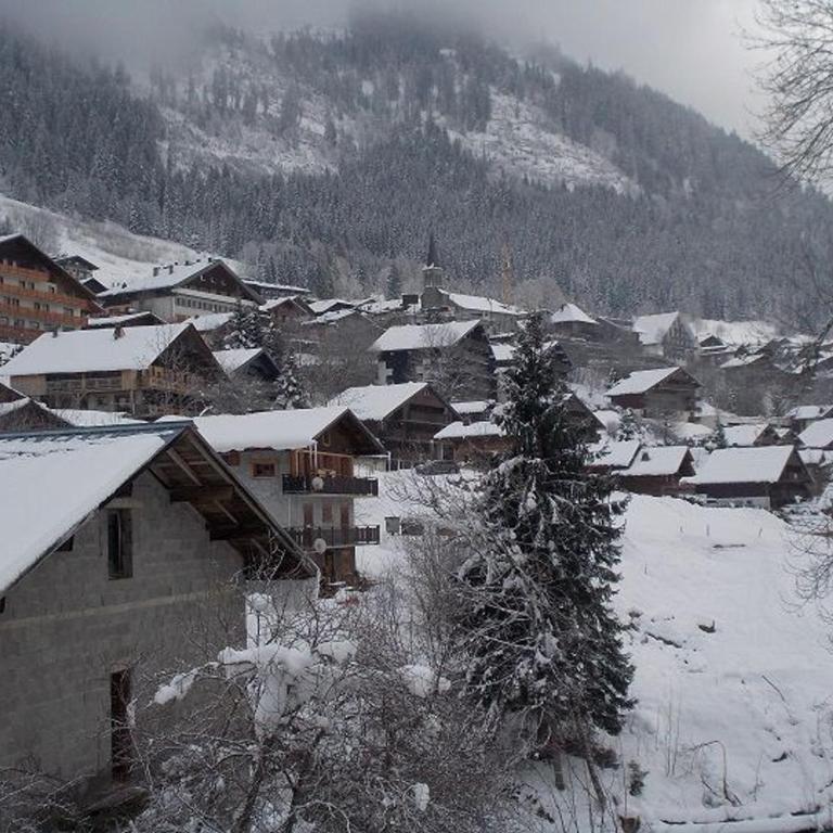 Chalet 2 Pièces, 6 Pers., Proche Centre et Pistes, Balcon Sud/Est, Parking, Animal Admis - FR-1-676-9 - Appartement - 10