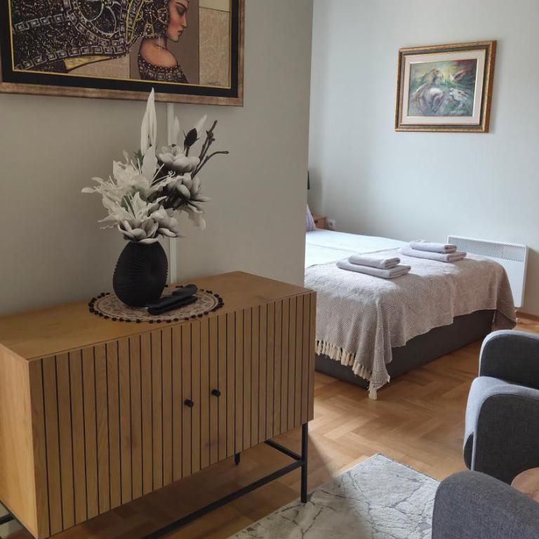 MS Apartman - Apartman sa Terasom - 3