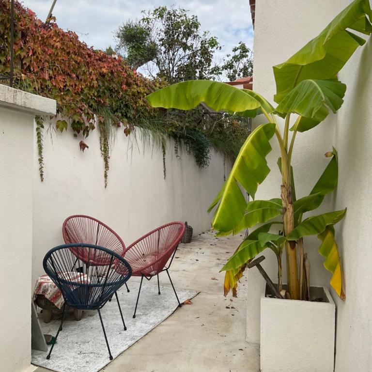 Maison avec vue mer et jacuzzi à 15 mn du centre - Villa 2 Chambres - 2
