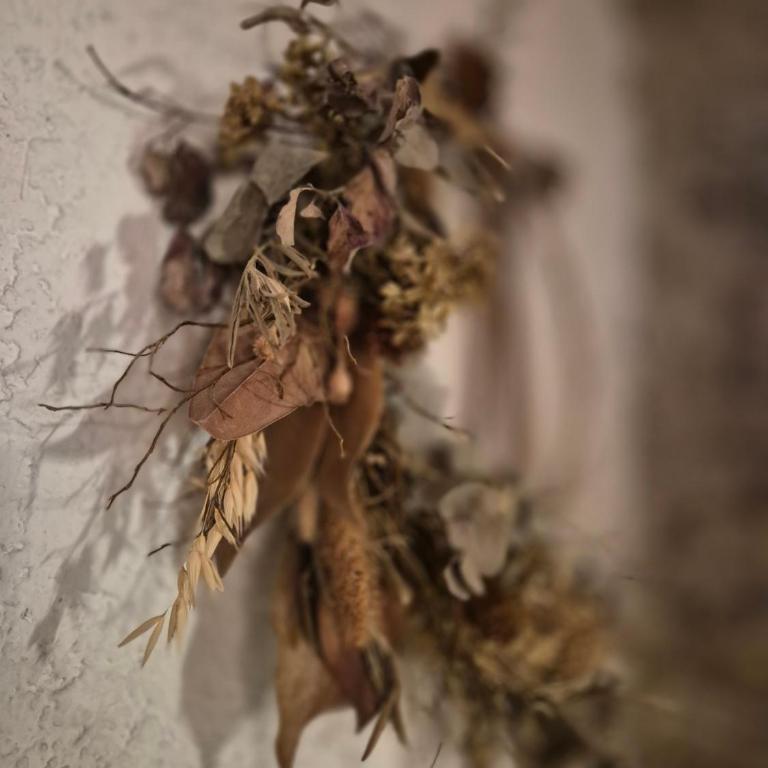 Il vecchio frantoio - Appartamento con 1 Camera da Letto - 19