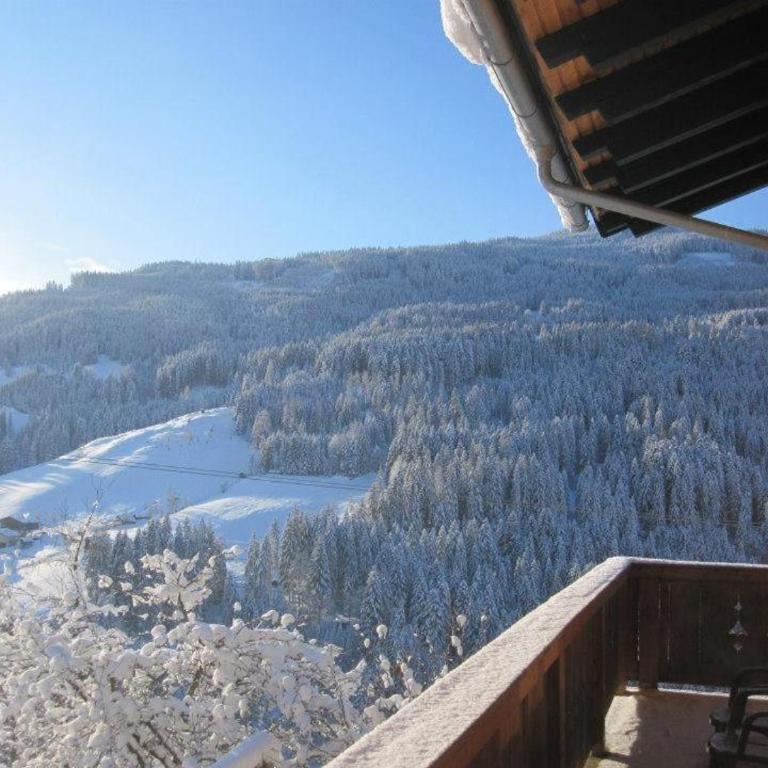 Landhof Kreuzsalgut - Apartment mit 1 Schlafzimmer und Gartenblick - 2