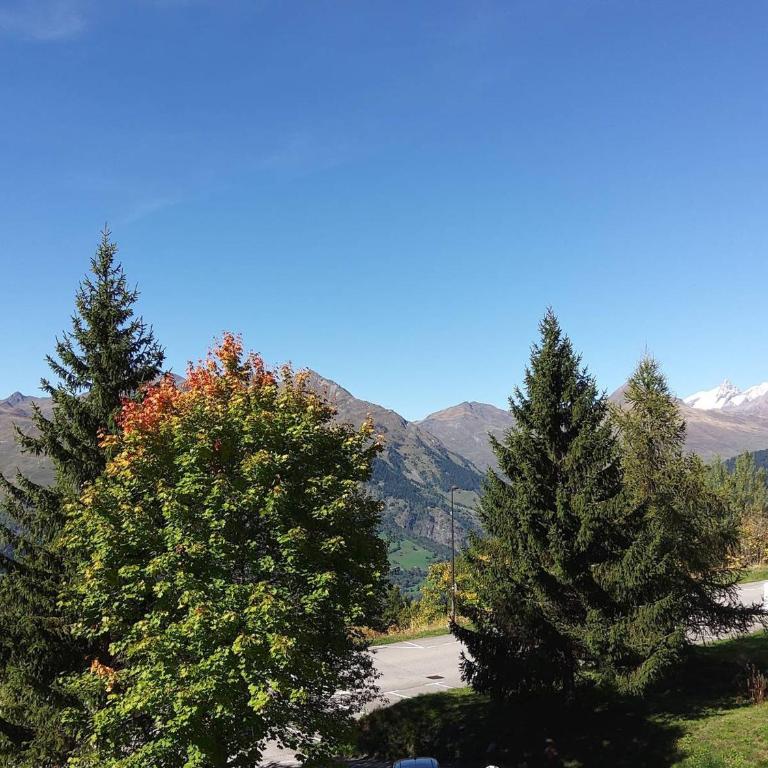 Appartement 2 pièces pour 6 à Arc 1600, proche piste, animaux admis - FR-1-411-337 - Appartement - 8