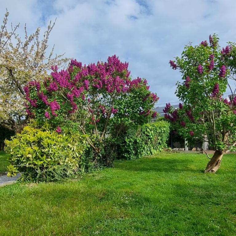 Georgette-sur-Mer - Maison 3 Chambres - 23