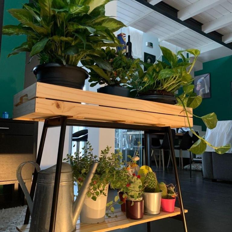Dimora Stella Boutique - Appartamento con 2 Camere da Letto - 13