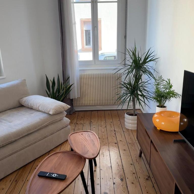 Appartement confortable T2 10 min centre-ville - Appartamento con 1 Camera da Letto - 3