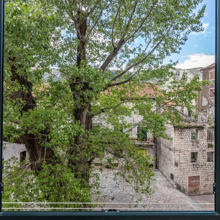 Central & quiet location inside Old town Kotor - One-Bedroom Apartment - 21