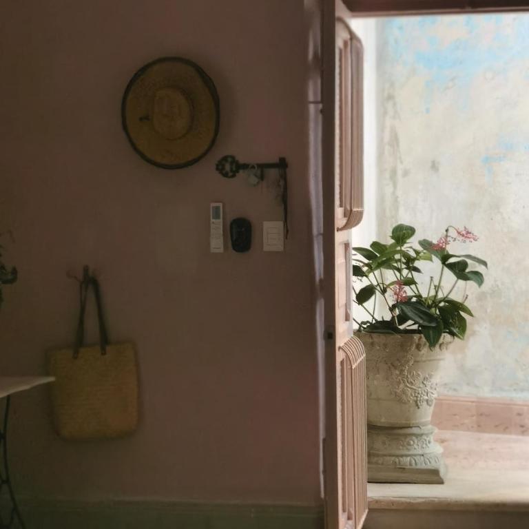 Casa Mare - Maison de Vacances - 28