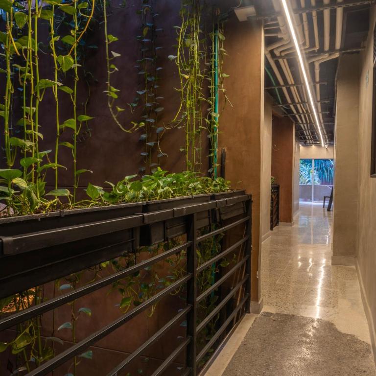hotel civitas medellin - Double Room with Garden View - 8