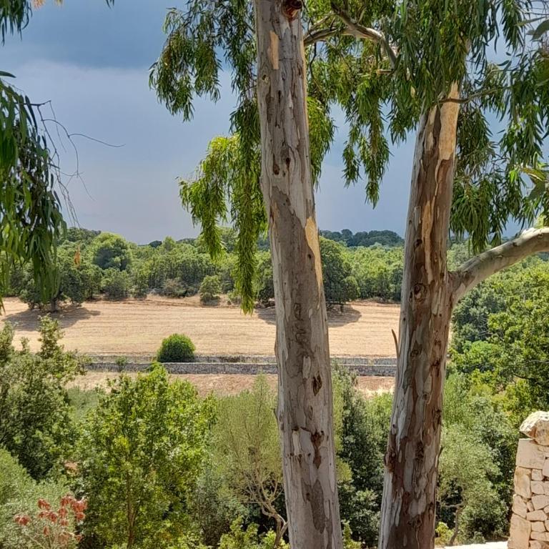 Trulli Chiancaluna - Art Farm Stories - Villa Deluxe - 26