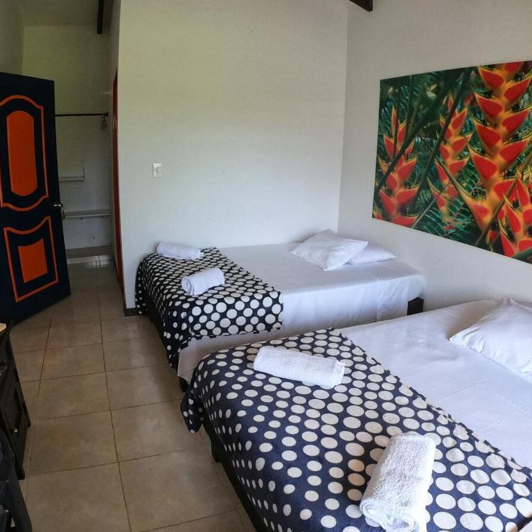 Finca La Coqueta Coffee Farm Stay near Filandia - Standard Twin Room - 20