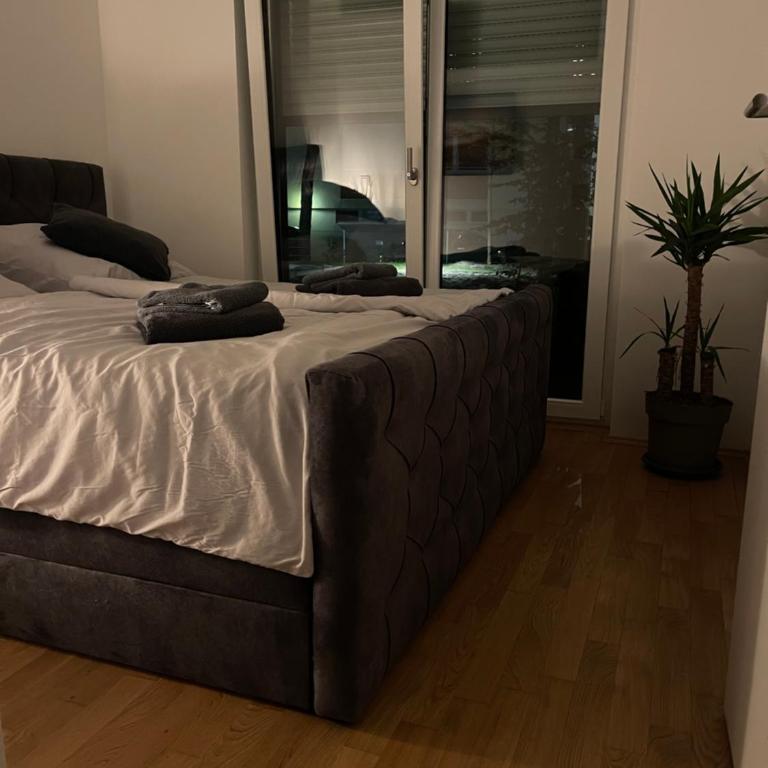 Luxury City Apartment in Munich - Appartamento - Piano Terra - 24
