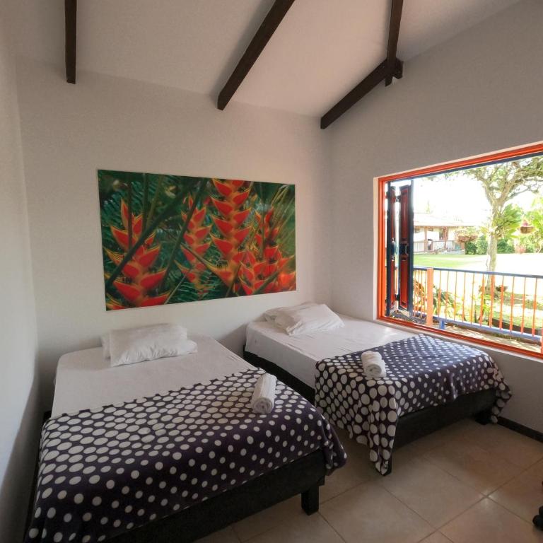 Finca La Coqueta Coffee Farm Stay near Filandia - Standard Twin Room - 18