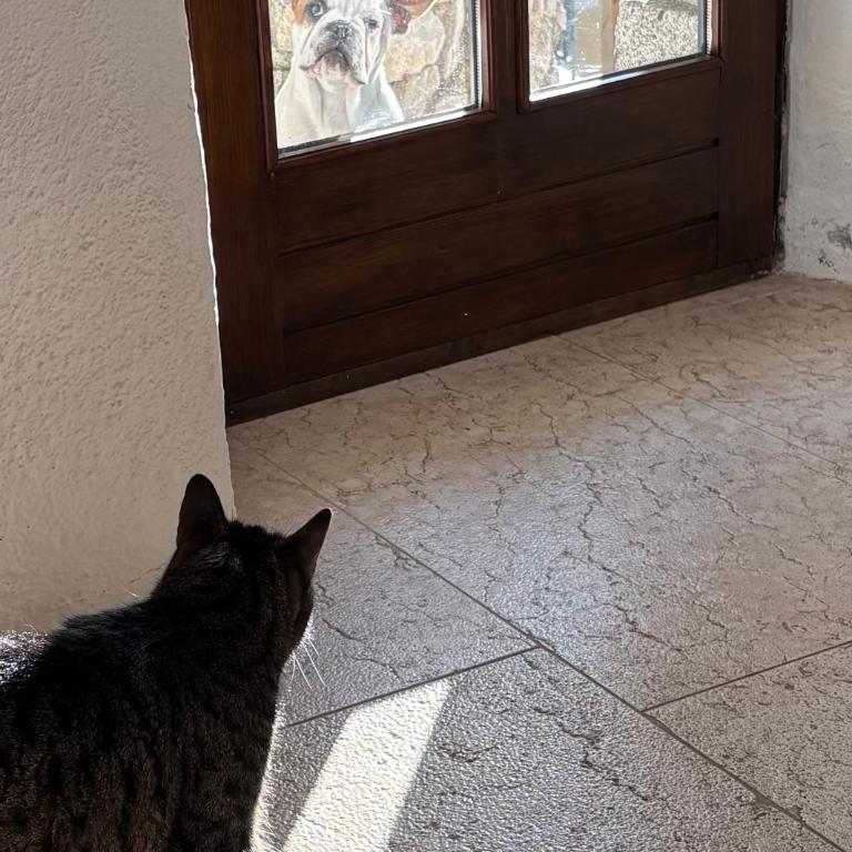 Seeblick und offener Kamin - Casa di Florian - Villa mit 2 Schlafzimmern - 7