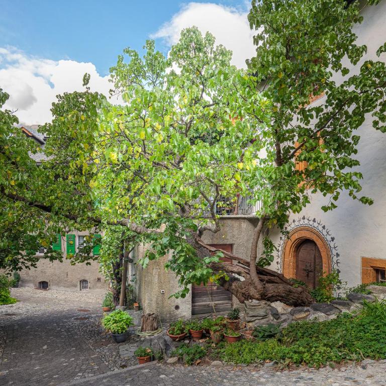 Cricerhaus - Apartment mit 1 Schlafzimmer - 10