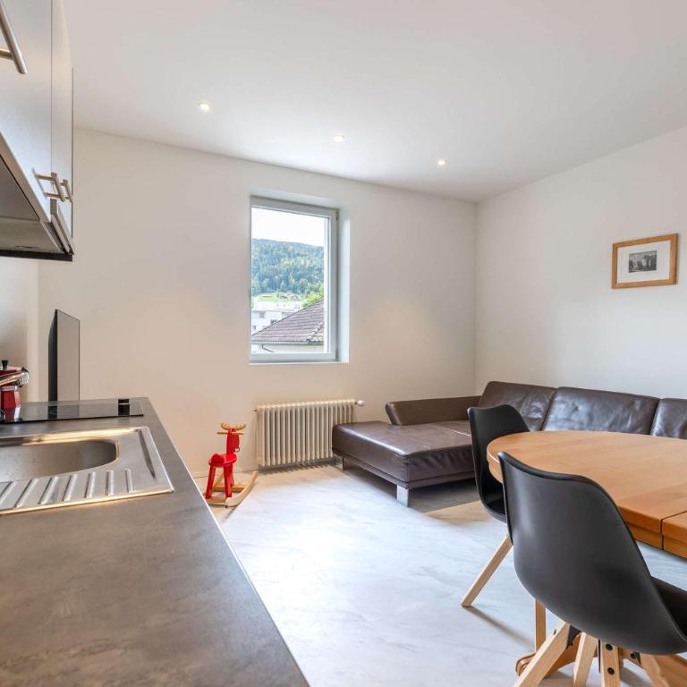 Mount Pilatus view Apartment Lucerne with free parking & WIFI - Apartment - 18